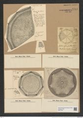Aulacodiscus amoenus Grev. (de-Toni-Nr.: Genus 182, Species 4529) Zeichnungen Sammlung Grunow Nr. 8114 (NHMW-BOT-W0377461)